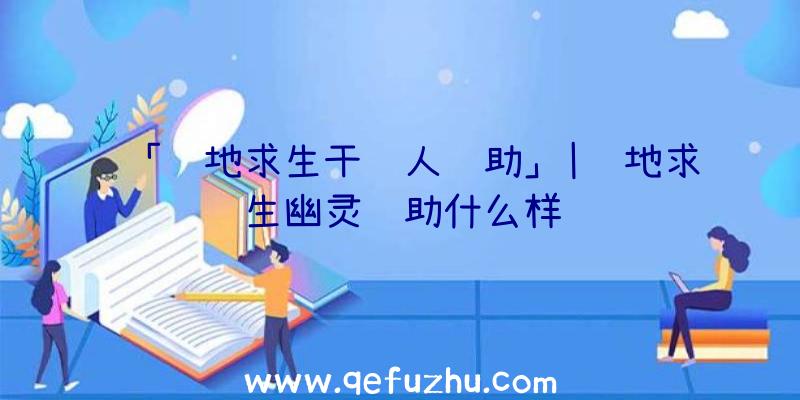 「绝地求生干饭人辅助」|绝地求生幽灵辅助什么样